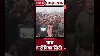 UP के ग़ाज़ियाबाद में एक बार फिर काटी गई गाय