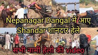 Nepanagar दंगल के सभी नामी हेलो की shandar झलक 😍😍🔥🔥💯💯❣️