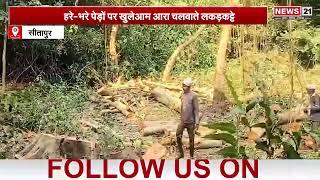 UP News: Sitapur में लकड़ी माफिया का बड़ा खेल | Hindinews | Newsupdate