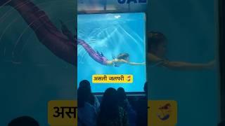 Real Jalpari | असली जलपरी🧜‍♀️ | Jalpari video raigarh