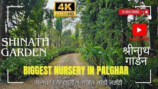 BIGGEST NURSERY IN PALGHAR | पालघर जिल्ह्यातील सर्वात मोठी नर्सरी | SHRINATH GARDEN