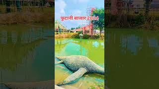 #phutani bajar best #pandal nirman #2024 jalalpur #chhapra saran bihar