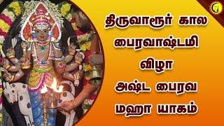 திருவாரூர் கால பைரவாஷ்டமி விழா | அஷ்ட பைரவ மஹா யாகம் | Thiruvarur  Bhairava Ashtami