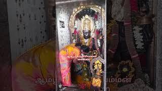 ஆம்பூர் கருமாரியம்மன் திருக்கோவிலில் கறி மாறி என்ற பெயரில் நாகாத்தம்மன் வீச்சருக்கிறாள்