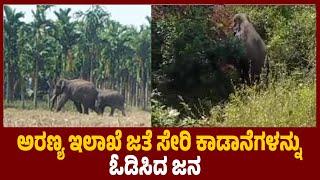 ಶಿವಮೊಗ್ಗ  | ಅರಣ್ಯ ಇಲಾಖೆ ಜತೆ ಸೇರಿ ಕಾಡಾನೆಗಳನ್ನು ಓಡಿಸಿದ ಜನ | udayavani news