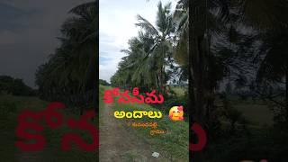 మా ఊరి అందాలు చూద్దాం రండి🌾