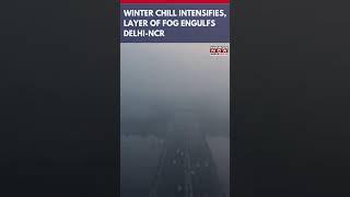 Fog Engulfs Delhi-NCR As Winter Chills Intensifies In Northern India | Watch