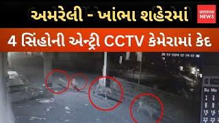 અમરેલી - ખાંભા શહેરમાં 4 સિંહોની એન્ટ્રી CCTV કેમેરામાં કેદ..