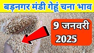 9 जनवरी 2025 बड़नगर मंडी गेहूं चना भाव | today gehu chana bhav | ujjain mandi gehu bhav