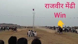 लवारी/उमरी शंकरपट 🚩 राजवीर मेंढी vs रंगा बिल्ला 👑win_ राजवीर मेंढी🚩