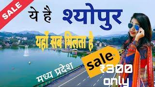 Sheopur City | Unknown district of Madhya Pradesh |आइये घुमें मध्य प्रदेश का श्योपुर जिला