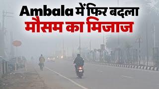 Ambala में फिर बदला मौसम का मिजाज; छाया घना कोहरा, आम जन जीवन अस्त व्यस्त