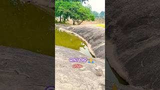 ଭୀମ ପାଦ 🙏🥰 ଧର୍ମଗଡ#Shorts#Sibamandir#Short#Viral#Tranding#Jai Kalahandi 1230