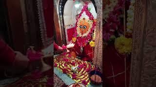 जय मां हरसिद्धि देवी मंदिर रानगिर वाली मैया सागर मध्य प्रदेश 🌺 संध्याकालीन आरती दर्शन 🌺 08/01/2025