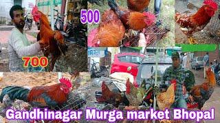 Gandhinagar #Murga #Bakra market Bhopal Madhya Pradesh