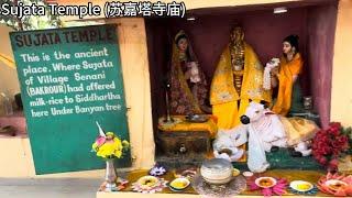 印度朝圣 Bodh Gaya (菩提伽耶) - 《Sujata Temple (苏嘉塔寺庙) - 苏嘉塔村落》