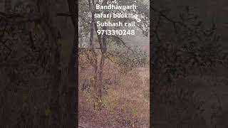 Bandhavgarh safari booking and hotel 🏨 booking Subhash call me 9713310248