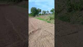 agriculture land for sale चाळीसगाव