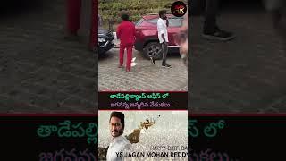 తాడేపల్లి క్యాంప్ ఆఫీస్ లో జగనన్న జన్మదిన వేడుకలు..| AR |