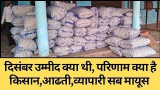 उम्मीद क्या थी परिणाम क्या है ? Today Garlic price। 27 December Ghiror lahsun mandi