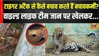 Dausa News :बाघ के मूवमेंट को खोजने में लगी रेस्क्यू| Rajasthan News | Tiger Terror | Wild life team