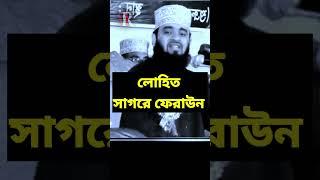 লোহিত সাগরে ফেরাউন | mizanur rahman azhari waz