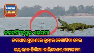 ଏରସମା ଜଟାଧାର ମୁହାଣରେ କୁମ୍ଭୀର ଦେଖାଯିବା ନେଇ ଭୟ ଭୀତ ଢ଼ିଙ୍କିଆ ଚାରିଦେଶର ମସ୍ୟଜୀବୀ