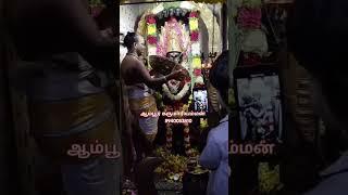 ஆம்பூர் கருமாரியம்மன் திருக்கோவில் திருப்பத்தூர் மாவட்டம் ஆம்பூர் சான்றோர் குப்பம்