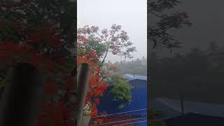 Beautiful monsoon weather in Kolkata, Garia. A beautiful rainy day.