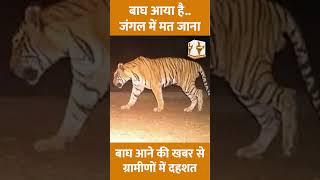 पलामू, गढ़वा में बाघ को लेकर अलर्ट | Alert regarding tiger in Palamu, Garhwa