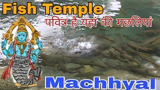 Machhyal,Joginder Nagar | मछिन्द्र नाथ देवता मच्छ्याल | Machinder Nath Temple,Machyal,Mandi,Himachal