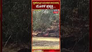 #shorts: Crocodile in Well | ಮುಧೋಳ ತಾಲೂಕಿನ ಸೋರಗಾವಿ ಗ್ರಾಮದ ಜಮೀನಿನ ಬಾವಿಯಲ್ಲಿ ಮೊಸಳೆ ಪ್ರತ್ಯಕ್ಷ | N18S