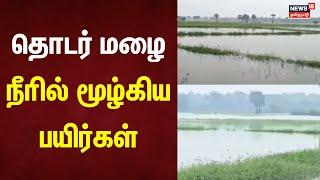 Rameswaram Heavy Rain | தொடர் மழை - நீரில் மூழ்கிய பயிர்கள் | Rain Alert