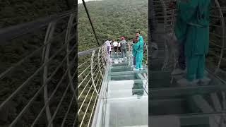 Glass bridge of rajgir Nalanda Bihar