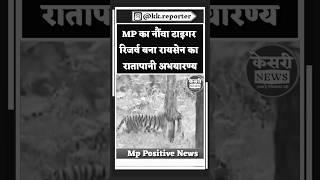 MP का नौंवा टाइगर रिजर्व बना रायसेन का रातापानी अभयारण्य! Ratapani Sanctuary! Tiger Reserve!