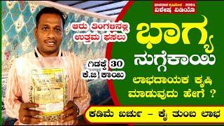 ಲಾಭ ನೀಡುವ ಭಾಗ್ಯ ನುಗ್ಗೆಕಾಯಿ | ಕೃಷಿ ಹೇಗೆ | ಬಾಗಲಕೋಟೆ ತೋಟಗಾರಿಕೆ ವಿಶ್ವವಿದ್ಯಾಲಯ | Drumstick Farming