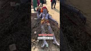 दुनिया का सबसे बड़ा मेला महाकुंभ में अदभुत दृश्य