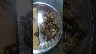 Naya Sal Mubarak purana Sal Tata# Bhojpuri gana# spicy fish fry#youtubeshorts video 🥵😱# Nikhat