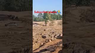 Mayali 🤗kunkuri 🥰Jashpur 🏖️⛰️🌲🌳🌴☁️☀️🌞📽️#short video