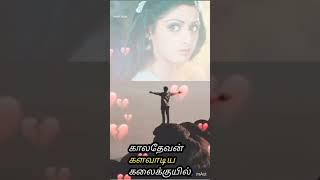 சிவகாசி தந்த.. சிரிக்கும் மத்தாப்பூ..  ஸ்ரீதேவி.