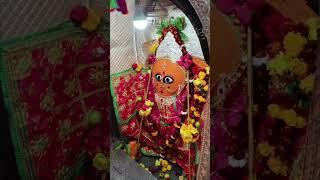 जय मां हरसिद्धि देवी मंदिर रानगिर सागर मध्य प्रदेश 🌺 प्रातः मंगला श्रंगार आरती 🌺10/01/2025🌺