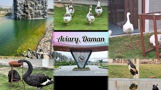 Aviary Daman jampore beach motidaman#birdsactuary#daman #new location and timing in  description