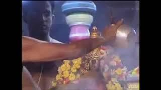 ஸ்ரீரங்கம் நம்பெருமாள் திருமஞ்சனம் சேவை ❤️🙏❤️