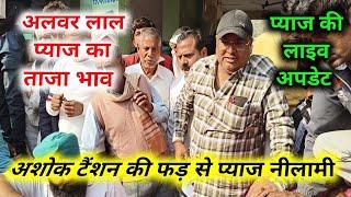 25 नवंबर 2024 अलवर प्याज नीलामी | onion report Today Alwar mandi rajasthan