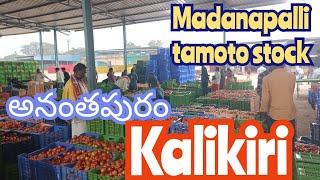 January 6, 2025ఈరోజు మదనపల్లి మార్కెట్ 🍅🍅దిగుమతి!!#kalikiri tamotoprice sayyadshahataj2000