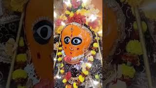 जय मां हरसिद्धि देवी मंदिर रानगिर सागर मध्य प्रदेश 🌺🙏 11/12/2024🌺🙏 मैयारानगिर वाली