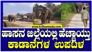 ಹಾಸನ ಜಿಲ್ಲೆಯಲ್ಲಿ ಹೆಚ್ಚಾಯ್ತು ಕಾಡಾನೆಗಳ ಉಪಟಳ..! | Hassan | Wild Elephants | TV5 Kannada