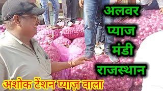 नई लाल प्याज़ के भावों में आई कुछ तेजी आज अलवर प्याज़ मंडी राजस्थान /Onion Rate Alwar Rajasthan /Pyaj