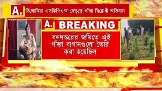 বিলোনিয়া এসডিপিও'র নেতৃত্বে গাঁজা বিরোধী অভিযান।।