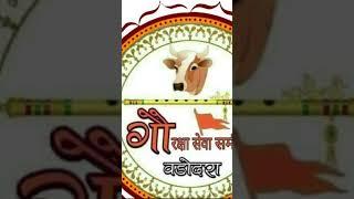 Gau rakshak teem Manasa Neemuch